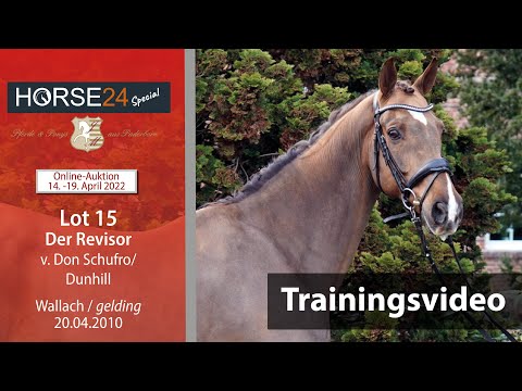 Horse24 Special Auktion Mielesko-Vekens Training Lot 15 Der Revisor v. Don Schufro - Dunhill H