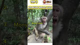 Download lagu terakhir parahsih #fyp #funny #monyet #lucu mp3 Download lagu terakhir parahsih #fyp #funny #monyet #lucu mp3