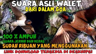 Download lagu Suara Ampuh‼️ Panggil Walet Rekam di Goa - Jernih dan Keras mp3 Download lagu Suara Ampuh‼️ Panggil Walet Rekam di Goa - Jernih dan Keras mp3
