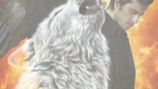 Son of the Wolf&quot; PowerWolf