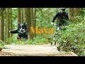 Maya A Self Shot Short Film With My Trail Dog