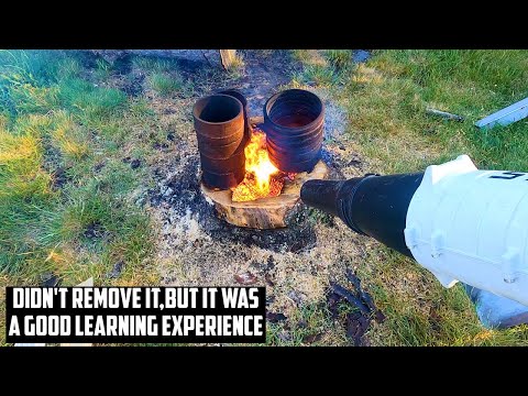 EXPERIMENT: Removing Stump With FIRE and Forced Air #Stihl #Stump #Fire