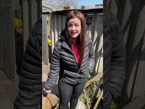 24 листопада 2025 р.