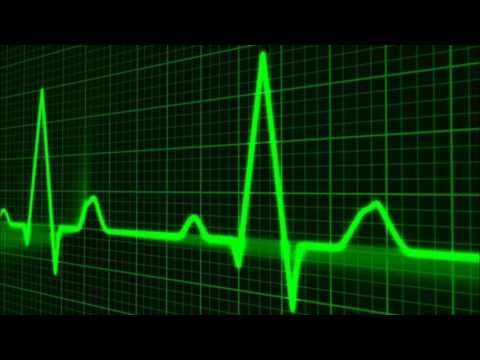 Der Verfall - Der Mussolini (Radio Edit)