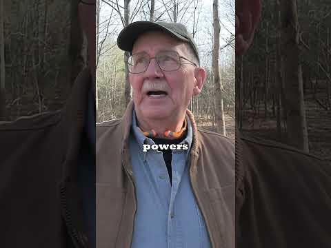 Has The World Gone Crazy?