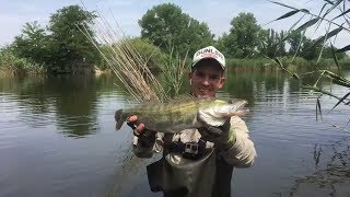 По чем черви для рыбалки в краснодаре
