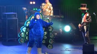 "Weird Al" Yankovic - "Perform This Way" (Live in Del Mar 7-4-12)