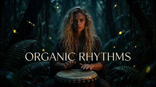 Organic Rhythms | Live Tribal House Drumming in the Rainforest | NVLLS