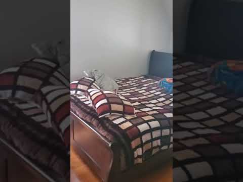 KK - 3205/07 N Bartlett - Video 2 of 2