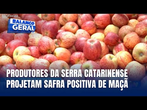 Colheita da maçã movimenta São Joaquim e anima produtores da Serra