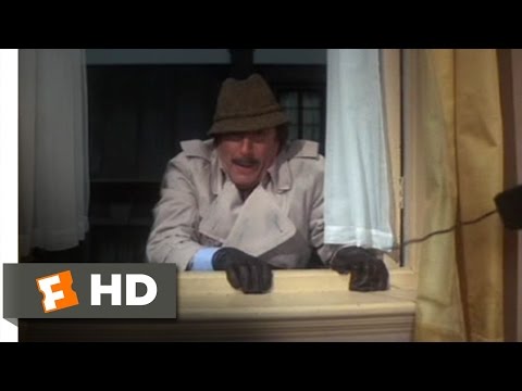 Trail of the Pink Panther (7/11) Movie CLIP - Out the Window (1982) HD