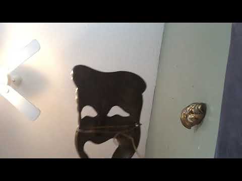 My scp-035 mask not real 035