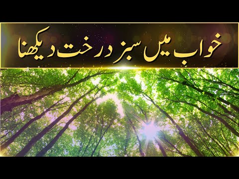 Khwab Mein Sabz Darakht Dekhna | Khwabon Ki Tabeerein