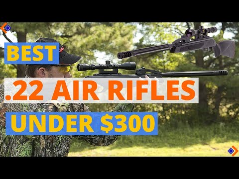 6 Best .22 Air Rifle 2024 | Best Air Rifles Under $300.