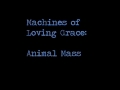 Machines of Loving Grace -- Animal Mass