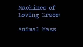 Animal Mass Music Video