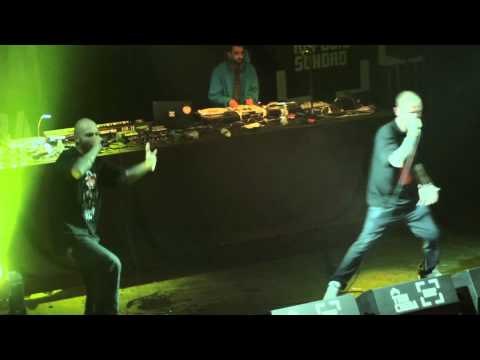 El Niño Snake.Viajes Infinitos.Fiesta Presentacion Ephin Spain