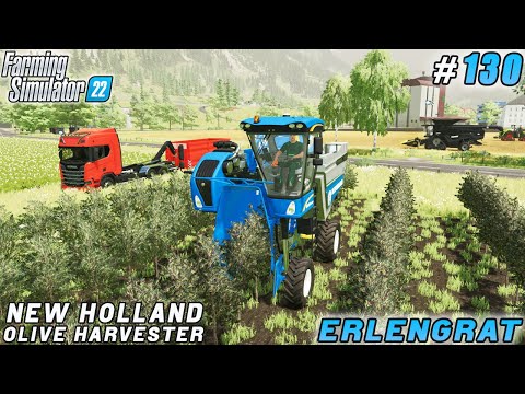 Harvesting sunflowers, olives and grapes | Erlengrat Farm | Farming simulator 22 | Timelapse #130