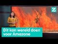 Leiden de Amazonebranden  tot een nieuwe handelsoorlog? • Z zoekt uit