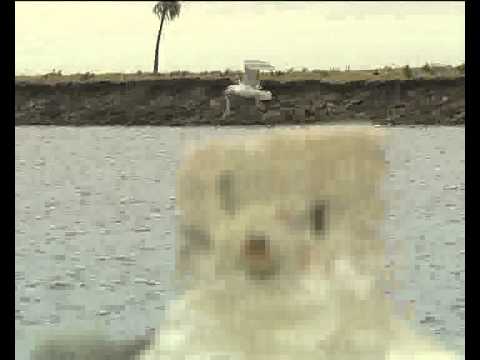 CICERONE MAGAZINE - ROCHA