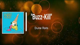 DUNE RATS - Buzz Kill (Lyrics)