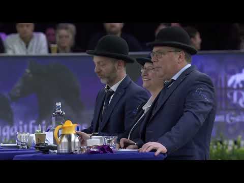 HK 2026 – Event 8 – Studbook Stallions approved from breeding season 2025 – German