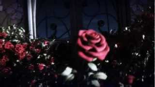 ＲＩＳＥ ＡＮＤ ＦＡＬＬ [Award Winning GMV]