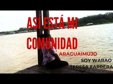 ¡Aquí en Araguaimujo crecí!