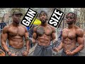 Workout for Size & Strength | Calisthenics | Back Workout for Size & Strength
