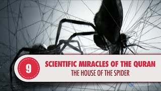 Video: In Quran 29:41, a Spider's house is weak - Quran Miracle