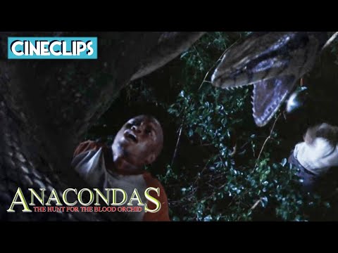 Chopping Off Snake's Head | Anacondas: The Hunt For The Blood Orchid