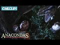 Chopping Off Snake S Head Anacondas The Hunt For The Blood Orchid