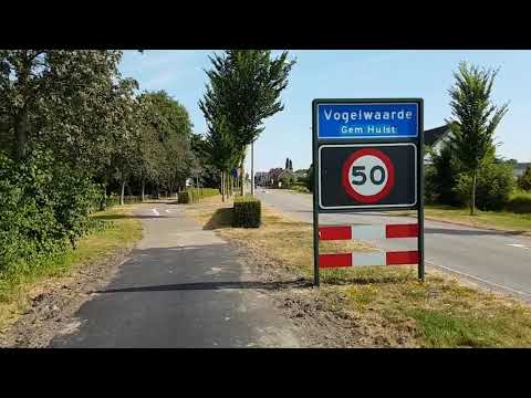 Vogelwaarde Hulst Zeeuws Vlaanderen