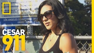 Deleted Scene: Mocha at the Dog Park | Cesar 911