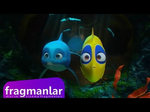 Cesur Balık Sihirli Dünyada Fragman