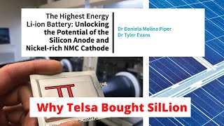 Why Tesla Bought SilLion
