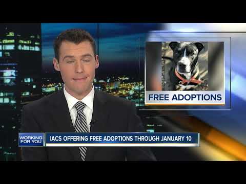 RTV6 Latest Headlines | December 30, 6pm