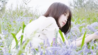 아이유 (IU) - 비밀의 화원 (Secret Garden) [Unofficial MV]