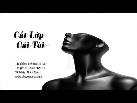 Tinh Hoa Trí Tuệ - 3. Cắt lớp cái tôi