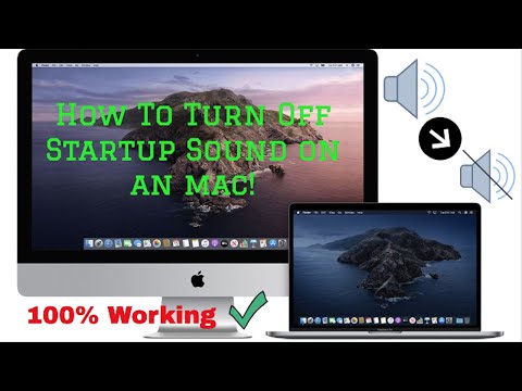 Enter terminal command