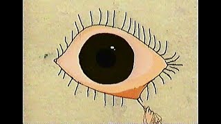 Cover art for Eyelash