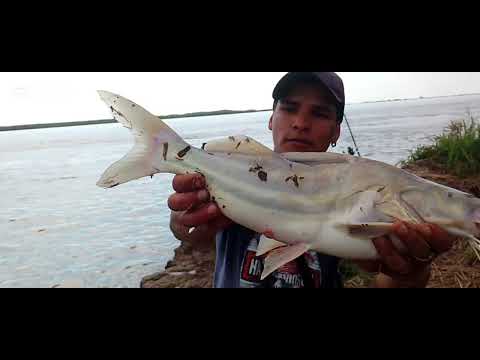 Buen gente video nuevo en villa constitución algo salió y hermoso lugar 😎🎣