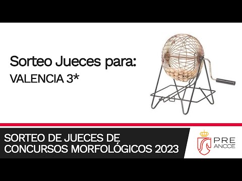Sorteo de Jueces para el concurso de VALENCIA 3***