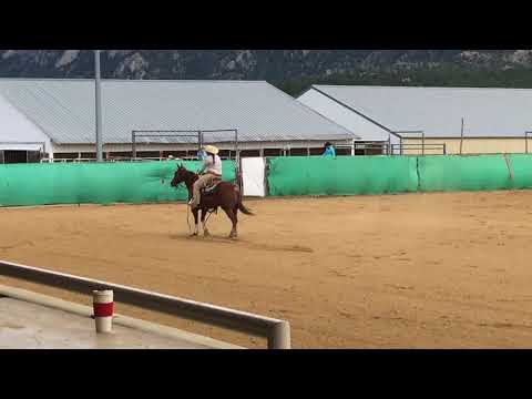 Boon Feather reining July 2017
