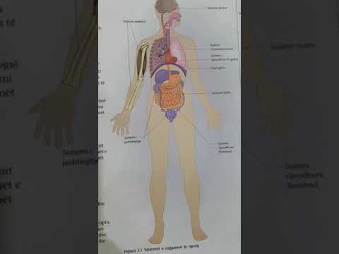 Tema: Sistemet e organeve te trupit te njeriut