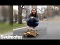 Girl Plans To Grow Old With Her Tortoise The Dodo Soulmates