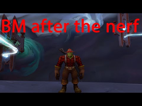 BM after the nerf - Beast mastery hunter pvp - Shadowlands 9.1.5