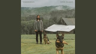 Cover art for Stick Season