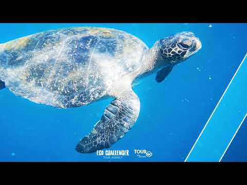 TOUR 360 in the Galapagos Islands