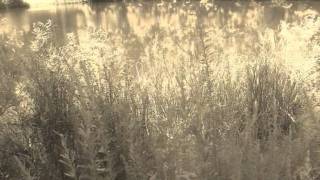 i can change-shane nicholson.wmv